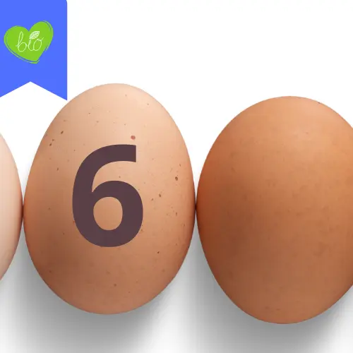 6 oeufs BIO